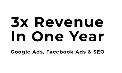 3X Revenue in One Year