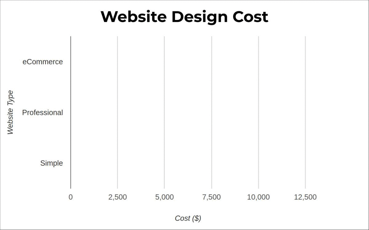 Website Design Cost Australia Animation